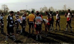 rugby - 